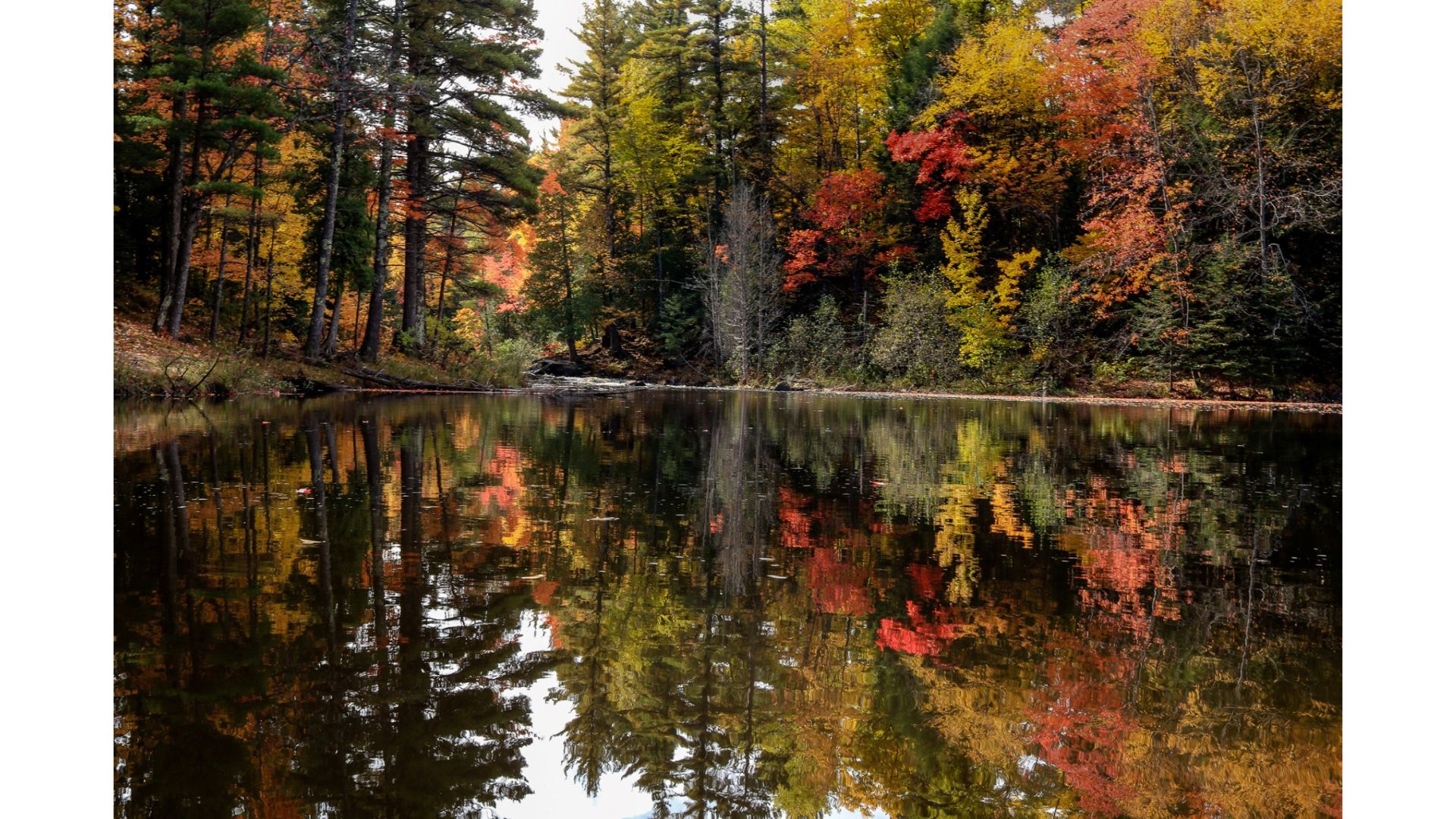 Best Places to See Fall Foliage in the USA: A blog about the best places for fall foliage in America