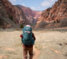 Backpacking Water Treatment: Filters, Purifiers, and Proven Gear