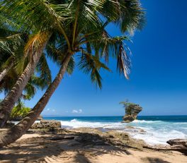 Costa Rica Travel Guide: What Nobody Tells You About Pura Vida