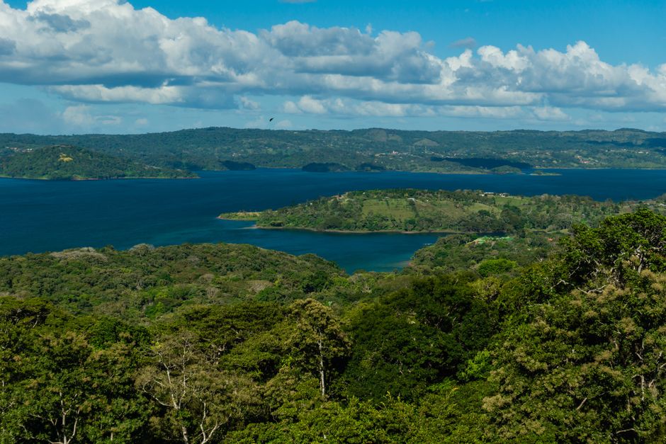 A breathtaking aerial view of lush foliage surrounding a tranquil blue bay under a summer sky.