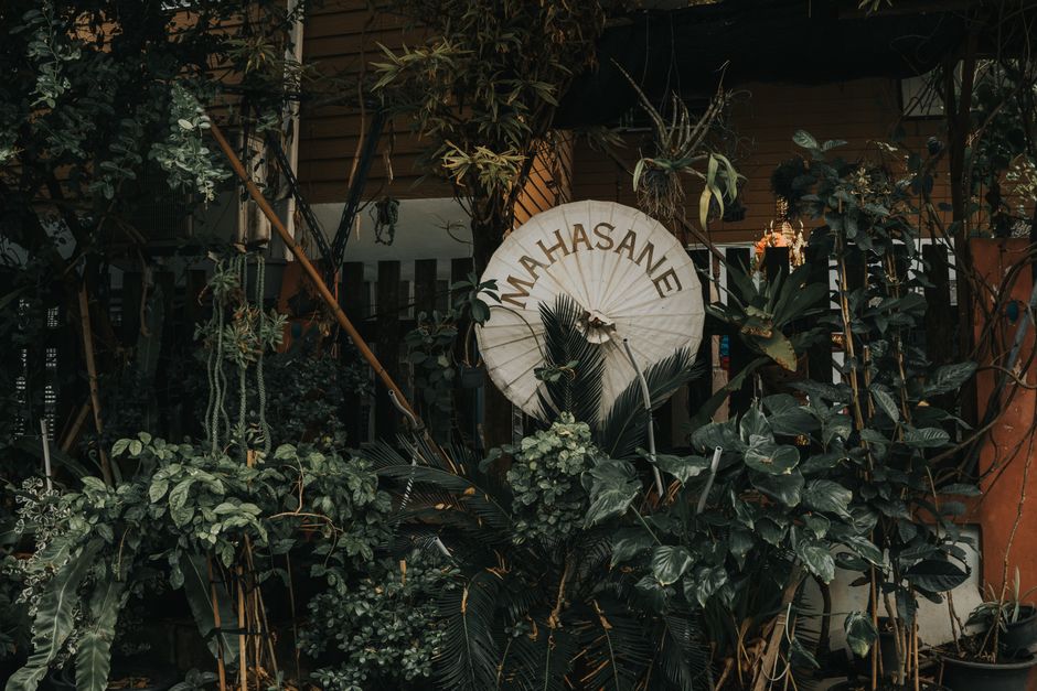 Vibrant garden with tropical plants and a decorative umbrella in Bangkok, Thailand.
