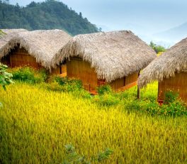 Eco-Friendly Hostels Southeast Asia Under : Eco-Hostels in Southeast Asia: What  Actually Gets You in 2026
