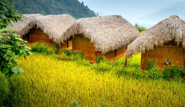 Eco-Friendly Hostels Southeast Asia Under : Eco-Hostels in Southeast Asia: What Actually Gets You in 2026 Eco-Friendly Hostels Southeast Asia Under : Eco-Hostels in Southeast Asia: What Actually Gets You in 2026
