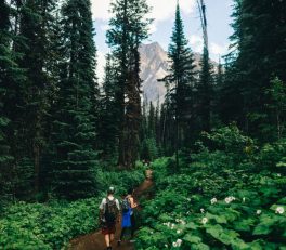 Hiking Guide Uk: Hiking the UK: What I Learned After 500 Miles on British Trails