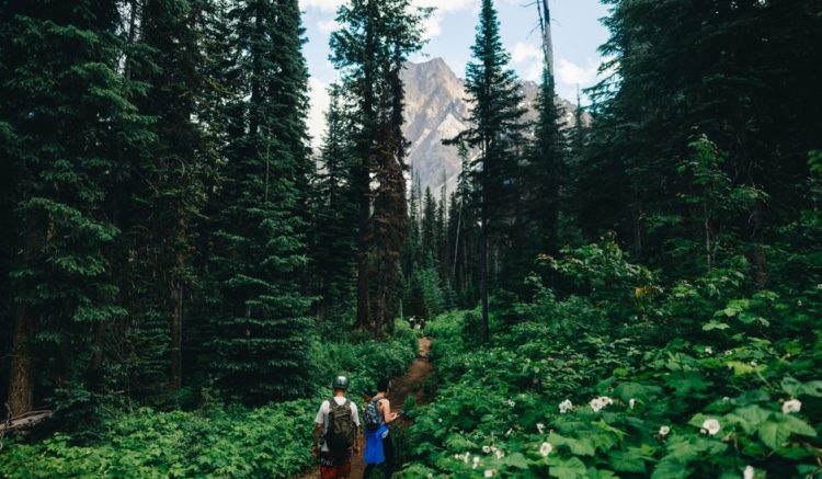 Hiking Guide Uk: Hiking the UK: What I Learned After 500 Miles on British Trails Hiking Guide Uk: Hiking the UK: What I Learned After 500 Miles on British Trails