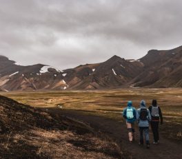Iceland in June: A Ring Road Plan Under the Midnight Sun