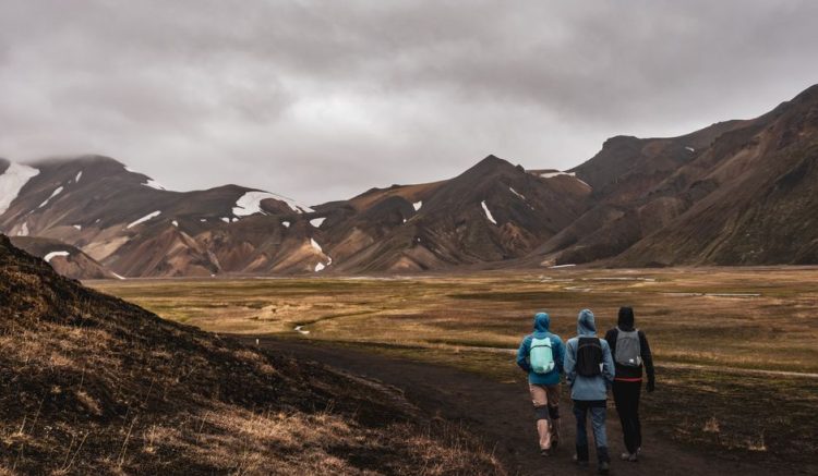 Iceland in June: A Ring Road Plan Under the Midnight Sun