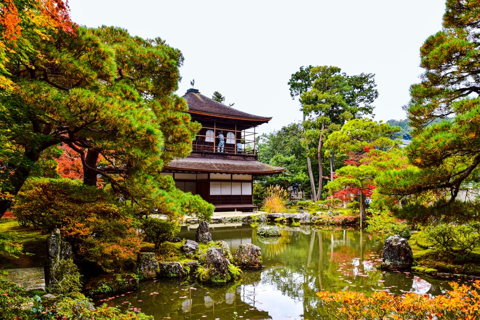 Explore the serene beauty of Ginkaku-ji Temple in Kyoto, surrounded by vibrant autumn foliage and tranquil gardens.