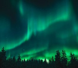Lapland in February: Husky Rides and Northern Lights