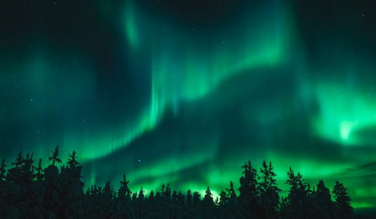Lapland in February: Husky Rides and Northern Lights Lapland in February: Husky Rides and Northern Lights