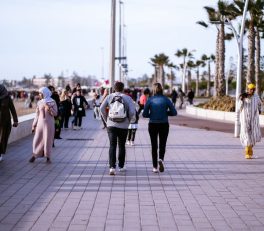 Marrakech Vs Fes Culture: Marrakech vs. Fes: The 2026 Culture Buff’s Verdict