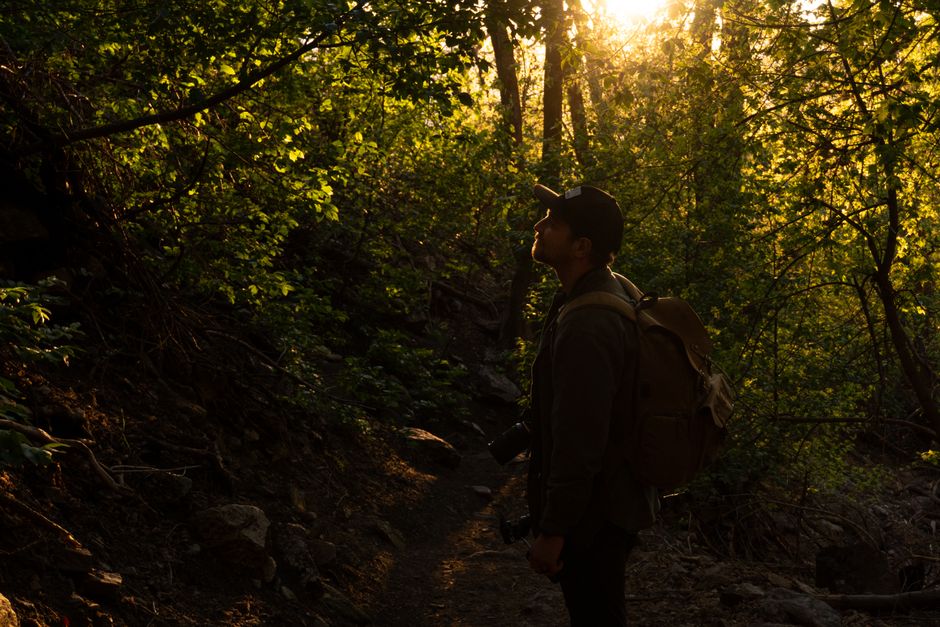 A lone hiker admiring nature's beauty on a sunlit forest trail. Perfect for adventure themes.