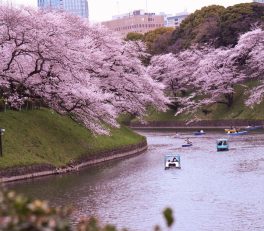 Spring Shoulder Season Travel: Spend Less, Skip Crowds