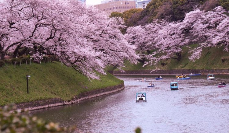 Spring Shoulder Season Travel: Spend Less, Skip Crowds Spring Shoulder Season Travel: Spend Less, Skip Crowds