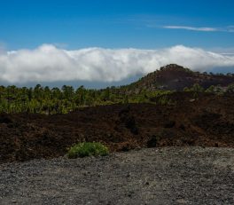 Tenerife in Winter: Hiking Teide and Finding the Sun
