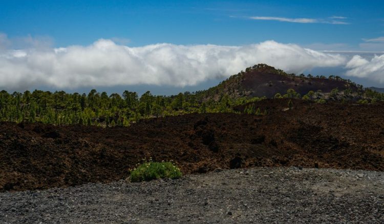 Tenerife in Winter: Hiking Teide and Finding the Sun Tenerife in Winter: Hiking Teide and Finding the Sun