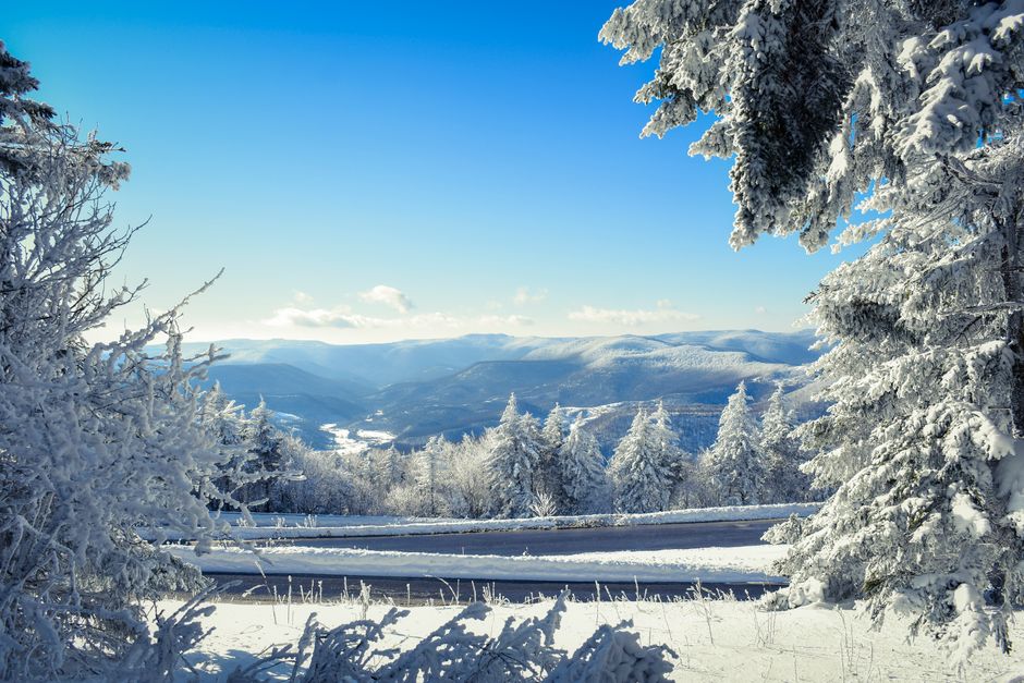 A serene winter mountain scene with snow-covered trees and a bright blue sky.