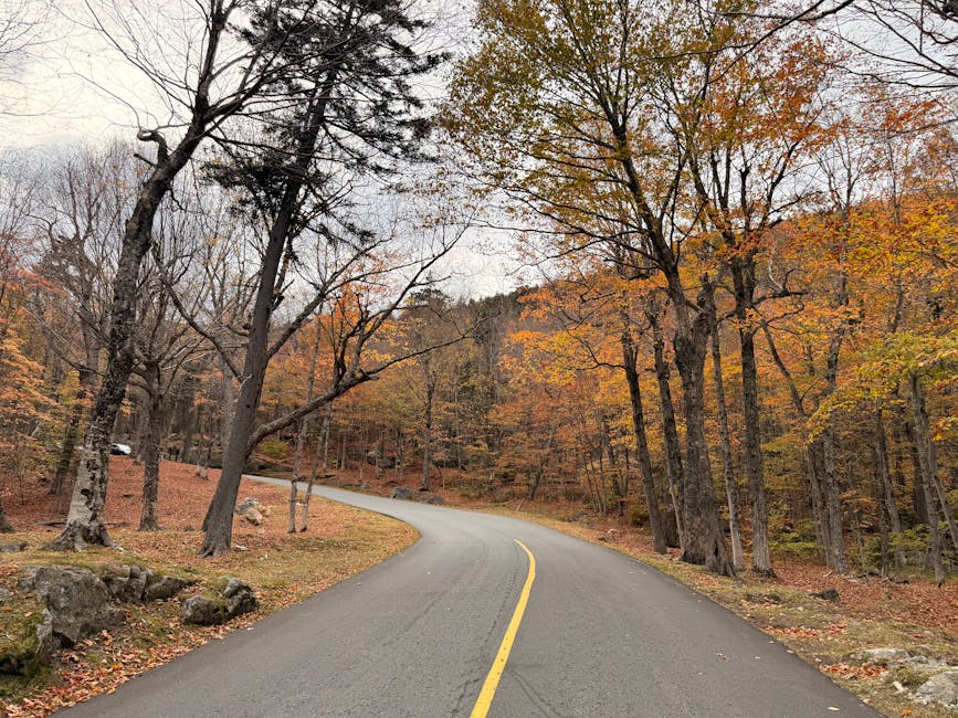 Winding road through vibrant autumn foliage in White Mountains, New Hampshire.